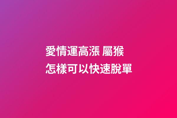 愛情運高漲 屬猴怎樣可以快速脫單